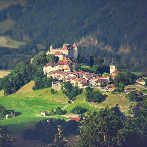 Gruyeres Fribourg achat voiture